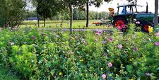 Provincie Oost-Vlaanderen groepsaankoop plantgoed