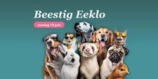 Beestig Eeklo 2025
