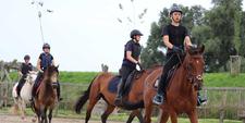 Ponykampen De Boerekreek