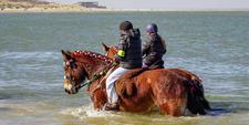 Tips4Trips Renesse Shouwen Duiveland