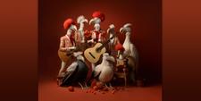 Gentse Feesten Rare Vogels