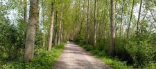 Code geel in Vlaanderen: risico op natuurbranden