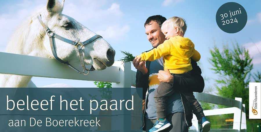 Beleef het paard De Boerekreek familiedag