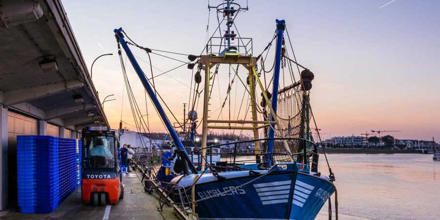 Tips4Trips Nieuwpoort