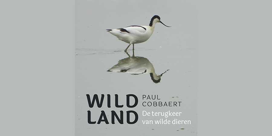 Paul Cobbaert - Wild Land - De terugkeer van wilde dieren