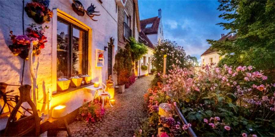 Tips4Trips Lissewege LIchtfeest