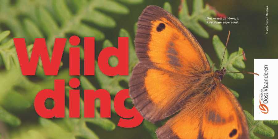Wild Ding campagne bescherm supersoorten Wild Ding campagne bescherm supersoorten