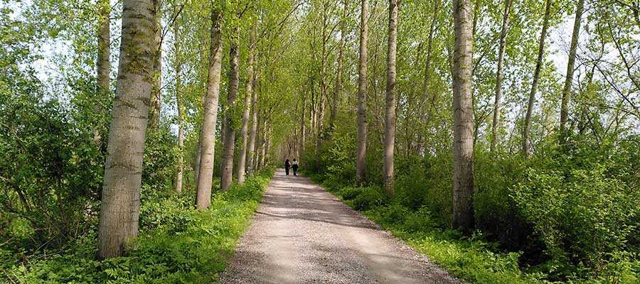 Code geel in Vlaanderen: risico op natuurbranden